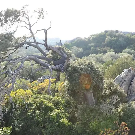 Lägenhet A Porto Rotondo, Con Giardino E Gazebo *